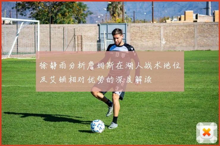 徐静雨分析詹姆斯在湖人战术地位及艾顿相对优势的深度解读