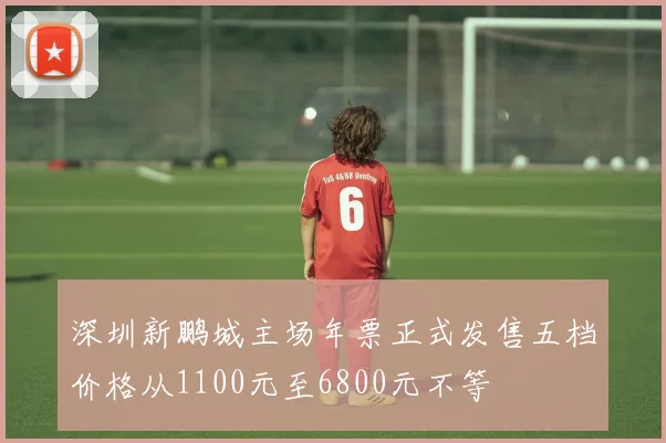 深圳新鹏城主场年票正式发售五档价格从1100元至6800元不等