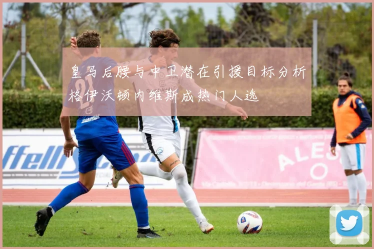 皇马后腰与中卫潜在引援目标分析格伊沃顿内维斯成热门人选